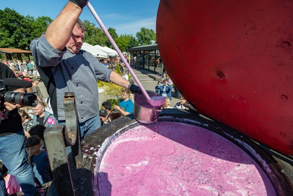 Pink Soup Fest. Photos by Saulius Ziura