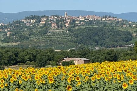 Shine Retreats Under the Tuscan Sun