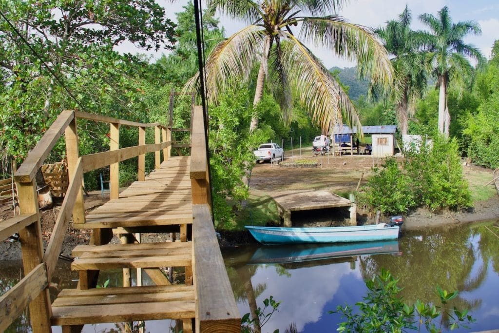 Centre of TUI Forest in Sánchez, Dominican Republic