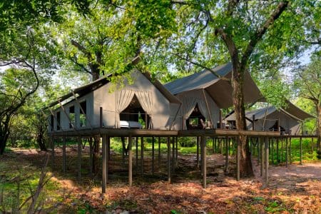 Great Plains Mara Toto Tree Camp To Launch