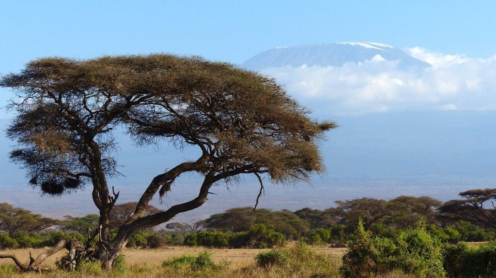 Mount Kilimanjaro Pixabay