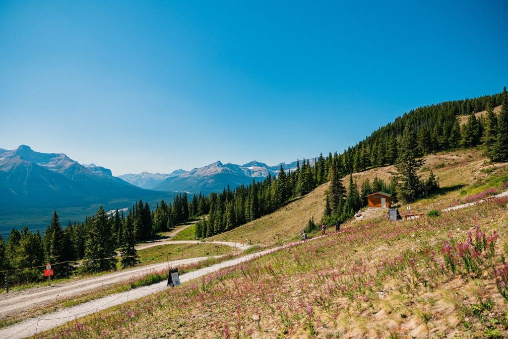 Lake Louise