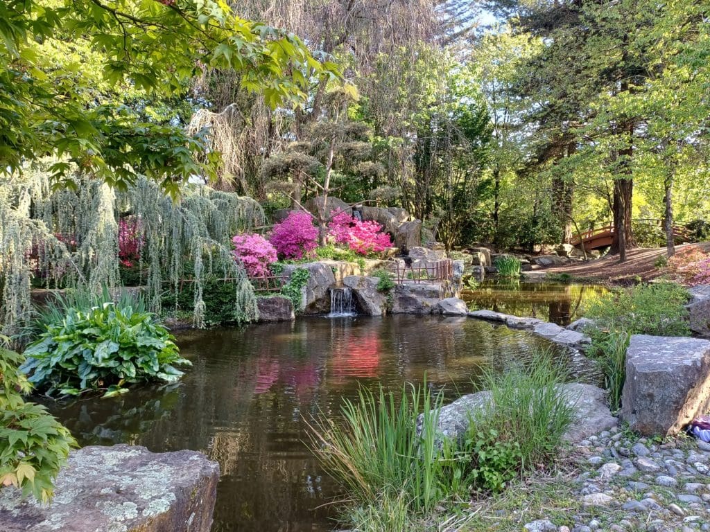 Magical Japanese gardens, Île de Versailles