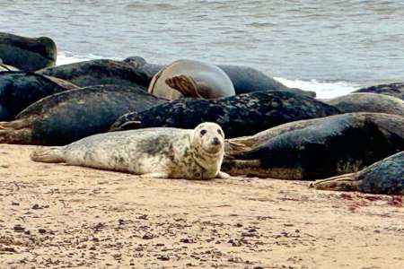 Seas on Winterton Beach