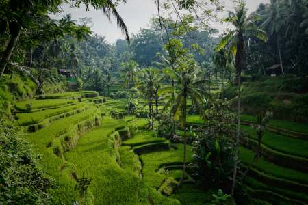 A Pleasant Experience of Bali Resorts for Tourists