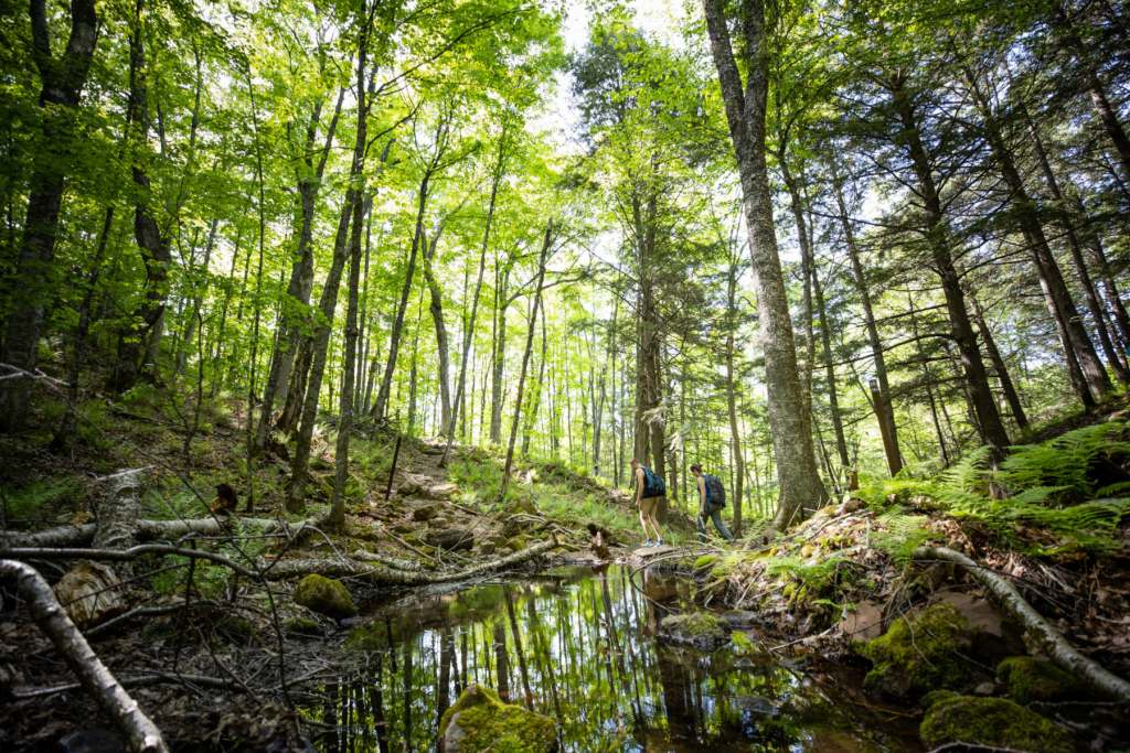 Chequamegon-Nicolet National Forest and Delta Diner EDITS