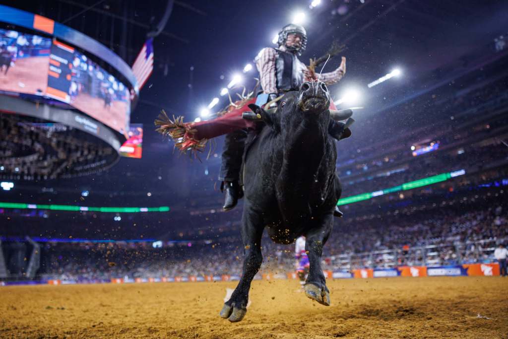 Houston Livestock Show and Rodeo