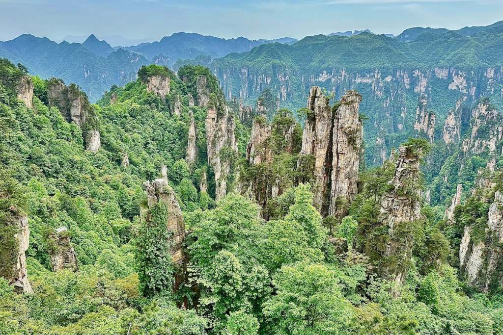 Quartzite Sandstone Columns inZhangjiajie National Park in Zhangjiajie China