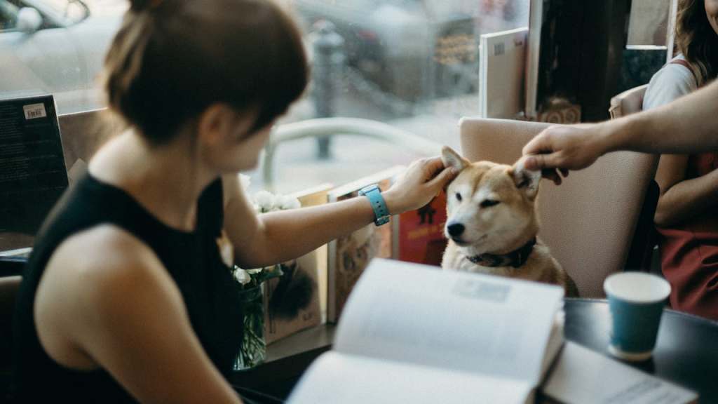 dog friendly restaurant