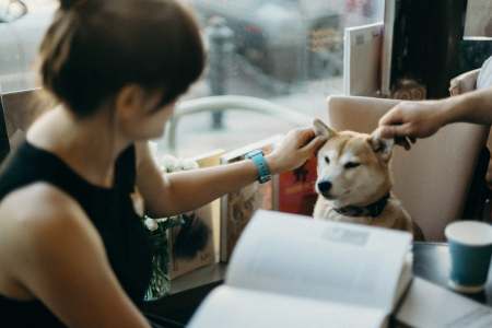 dog friendly restaurant