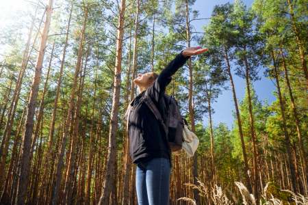 What is Forest Bathing or Shinrin-Yoku?