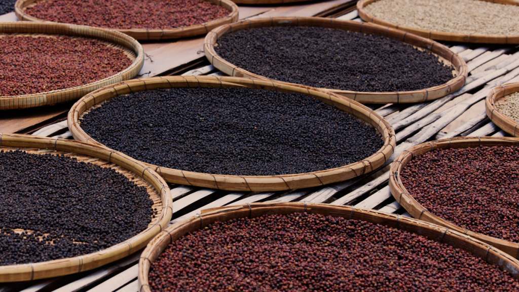 Kampot Pepper drying in the sun