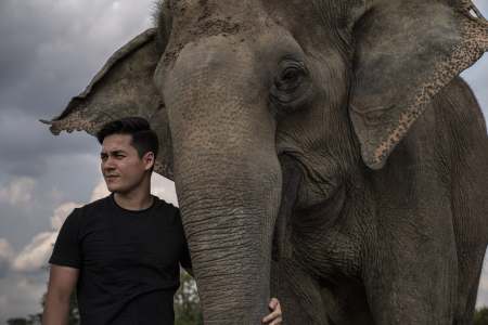 Kulen Elephant Forest: Angkor Wat Elephants New Home