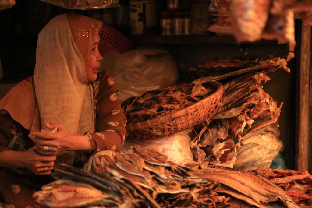 Dried fish at Kampot market