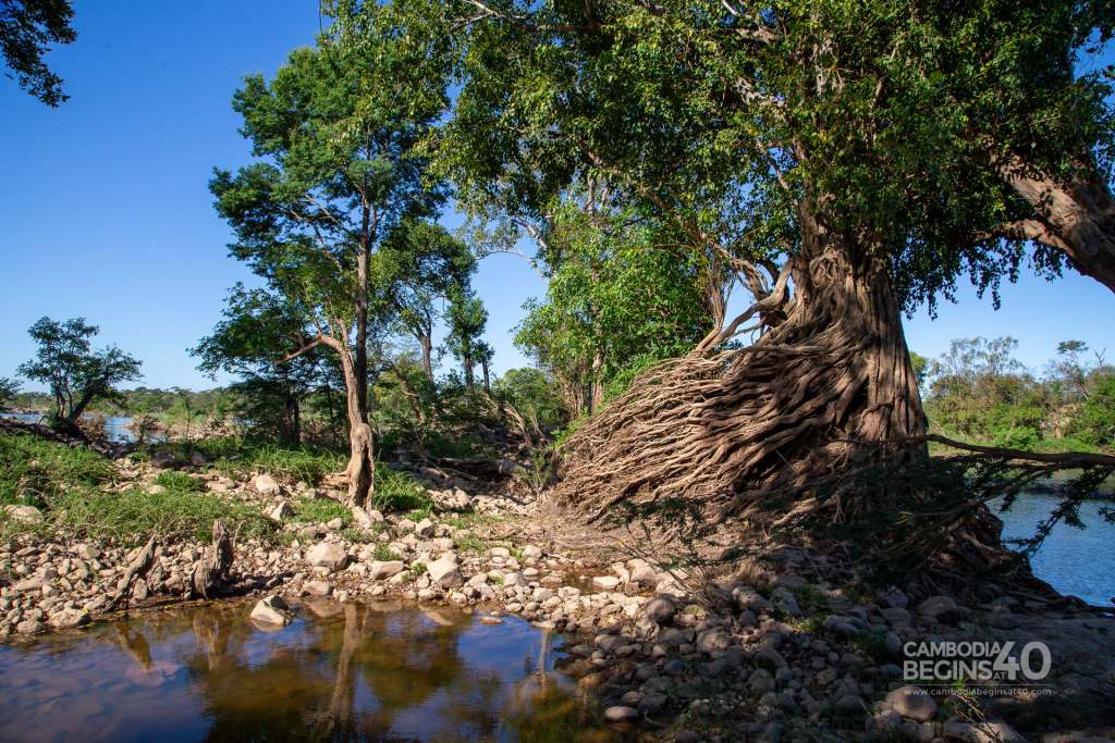 things to do in stung treng