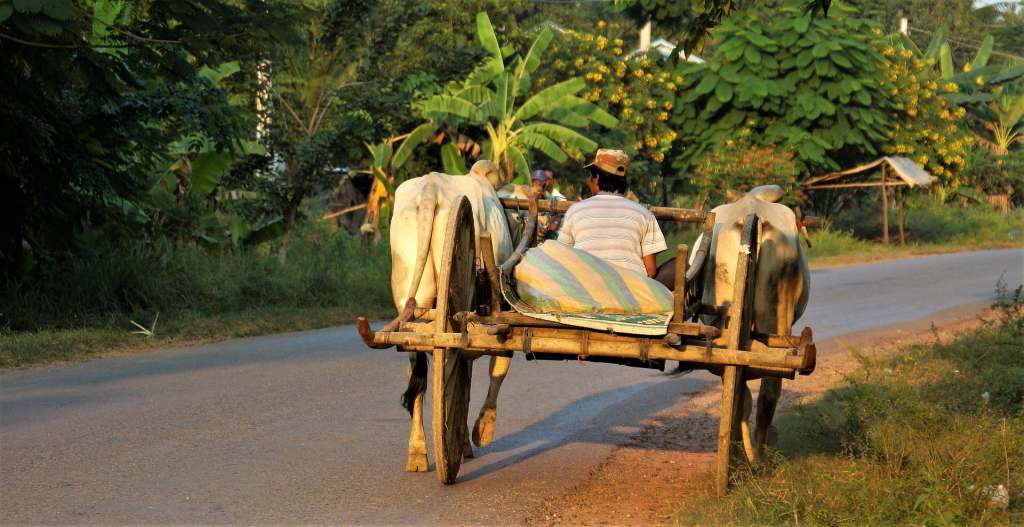 Phnom Penh to Battambang What To See in Battambang