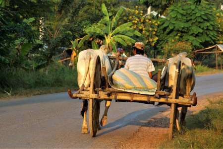 Phnom Penh to Battambang What To See in Battambang