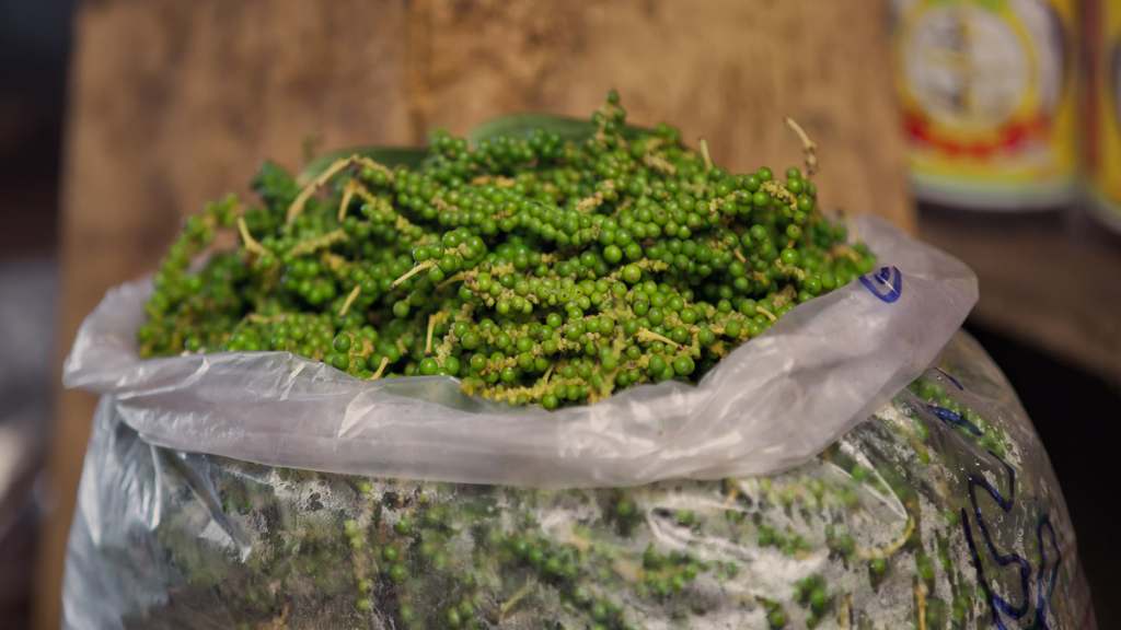 Freshly harvested green Kampot pepper